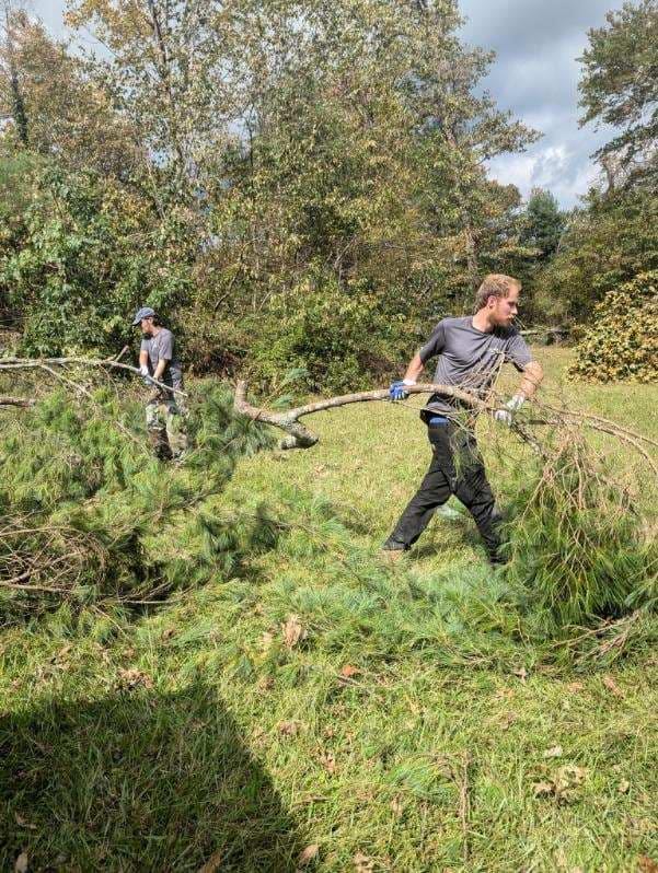 Bio-One of Asheville tree removal in Hendersonville